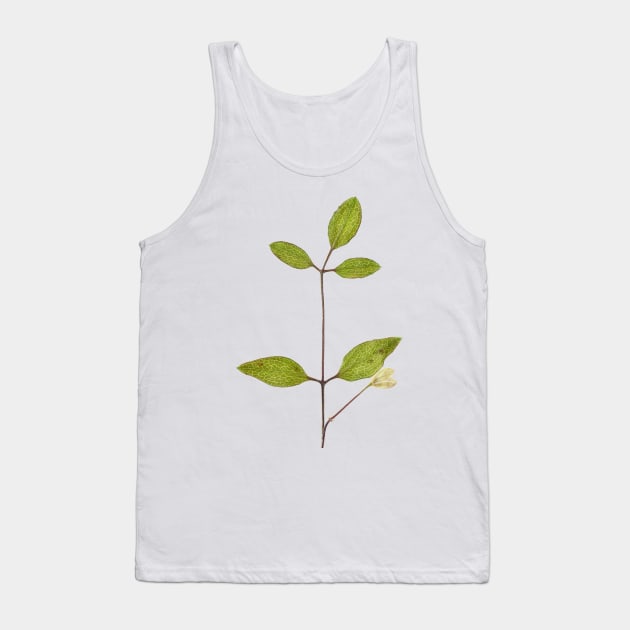 Clematis terniflora var. mandshurica	Manchurian clematis Tank Top by chrisburrows